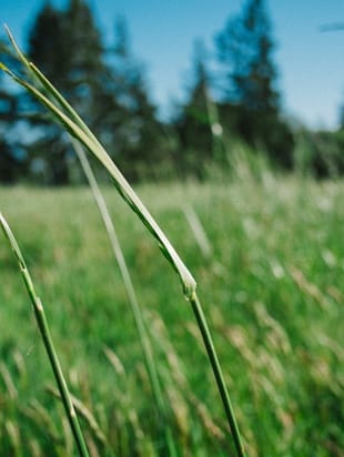 Посвящение в Даат