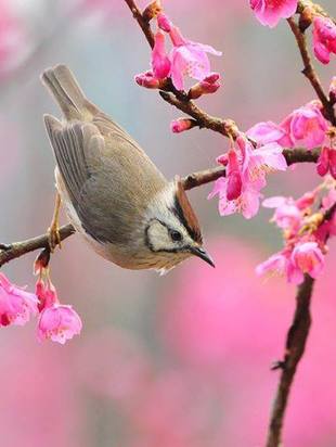 Астрологический прогноз на 2016 год от Елены Беляевой