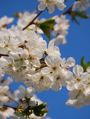 Астрологический прогноз на апрель 2016г. 