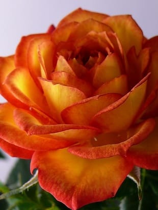 семинар-тренинг в Запорожье