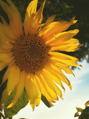 Прогноз на июль 2016г.