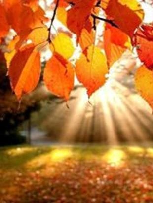 %d0%be%d1%81%d0%b5%d0%bd%d1%8c2