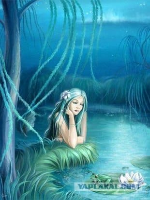 Курс в г. Запорожье «Посвящение стихий» из 5 занятий. 