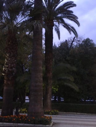 Прогноз на ноябрь 2016г. 