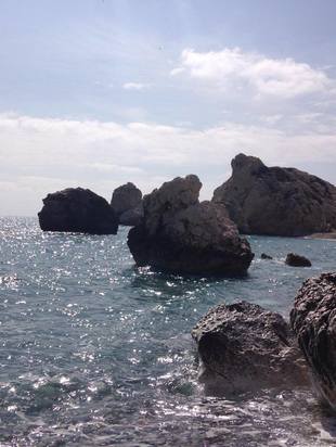 17198143 1317313808353055 877118028 n