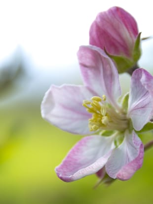 Астрологический прогноз на апрель 2017г.