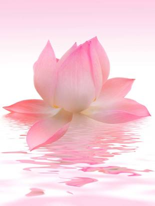 Семинар в Запорожье 23 июня в 18ч. 