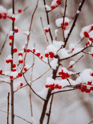 с 3 по 23 декабря 2017г Меркурий ретрограден