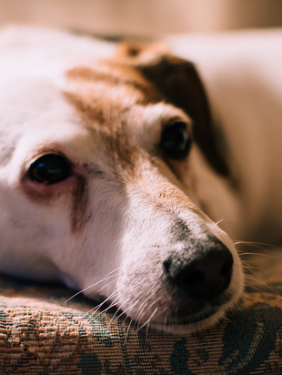 Богиня знает, где ее искать.