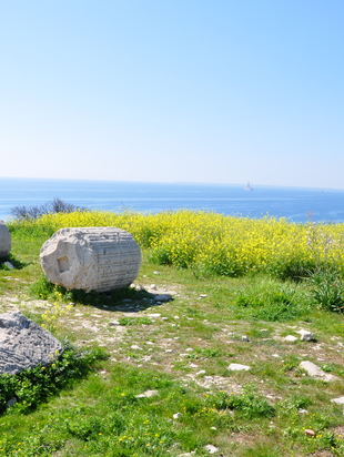 Богиня знает. где ее искать