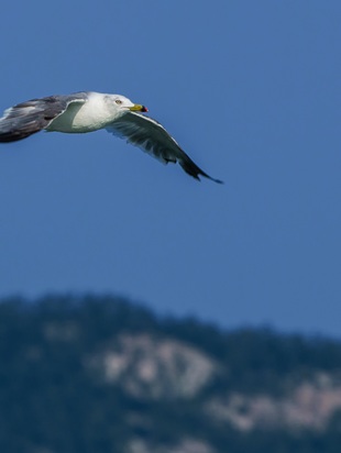 астропрогноз