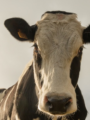 астропрогноз