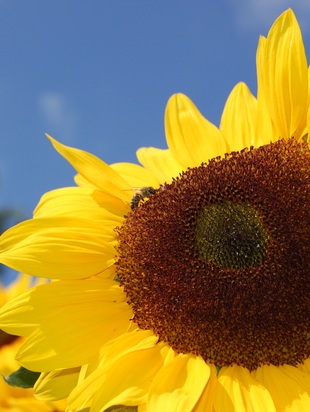 Астрологический прогноз на сентябрь 2018г. 