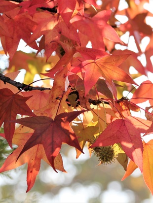 астропрогноз 18