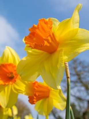 астропрогноз на май