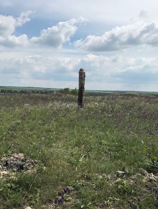 62521124 2207504709488773 5837919762918670336 n