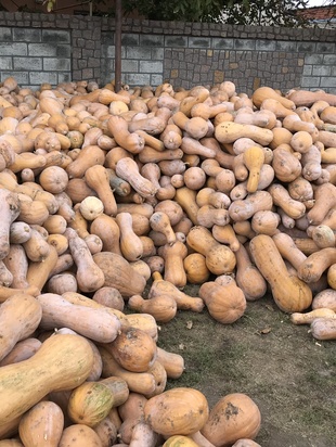 астропрогноз на октябрь