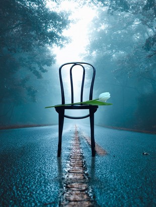 он-лайн курс 5 дней