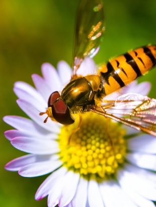 астропрогноз июль