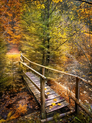 астропрогноз 