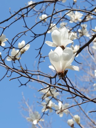 астропрогноз апрель 2021