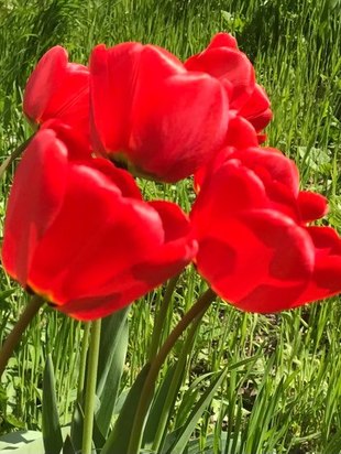 179783780 373655233918291 6389584659828254362 n