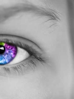 Обучение 3 курс 