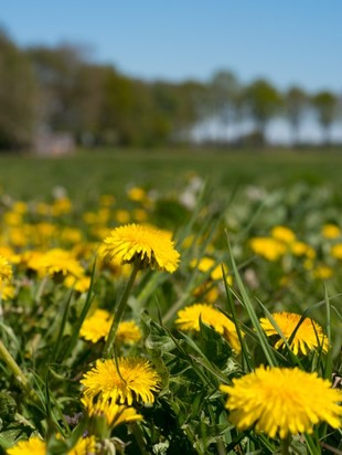 онлайн курс