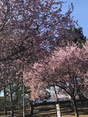 астропрогноз 