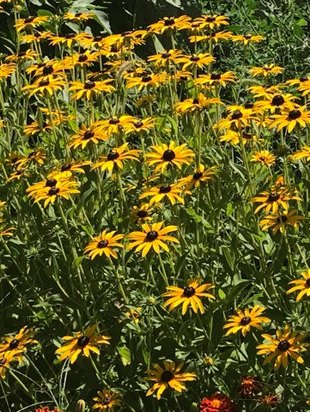 Онлайн практикум