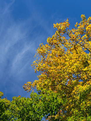 сентябрь 2022