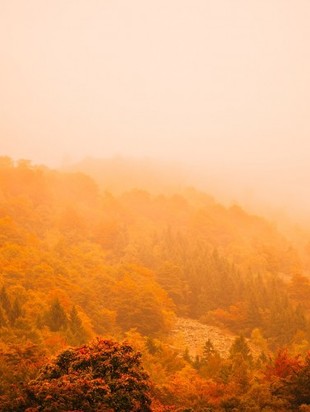 астропрогноз 22