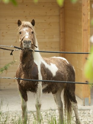 Примеры. Прогноз 23