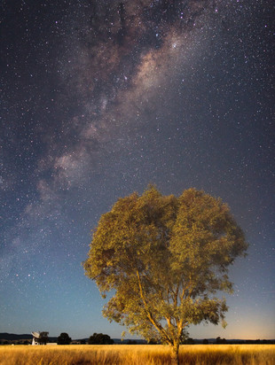 описание звезд