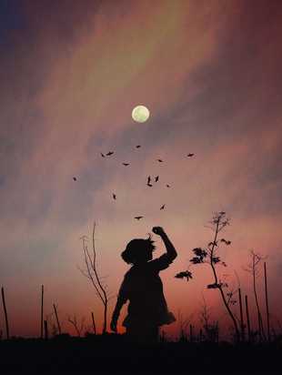 Главы моей книги 