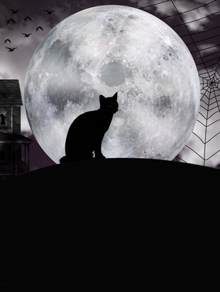 Технологии Сновидений