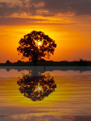 даты и описание затмений